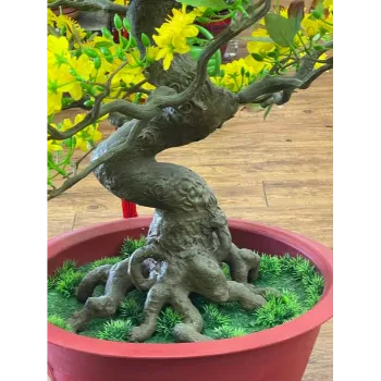 Bonsai Plants